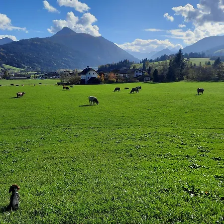 Aparthotel Hinteraigengut Flachau