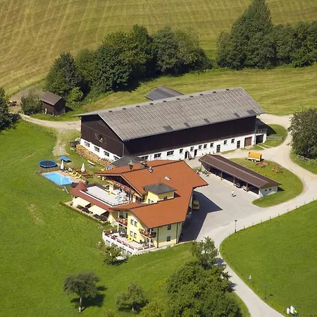 Agroturismo Hinteraigengut Flachau